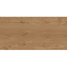 Керамічна плитка для підлоги та стін Teo Ceramics Rio Gold F P 1200x600 Mat