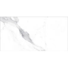 Керамічна плитка для підлоги та стін Teo Ceramics Alcora Grey F P 1200x600 Full Lappato