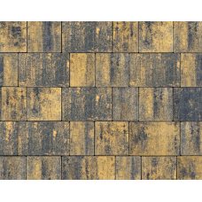 Симфонія Невада