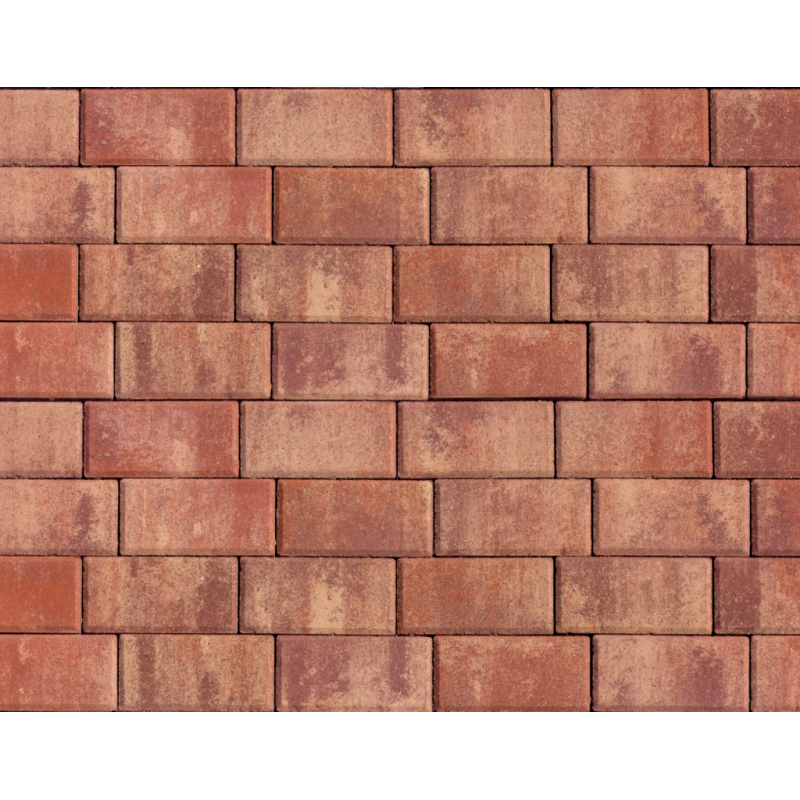 Цегла Барселона 100х200